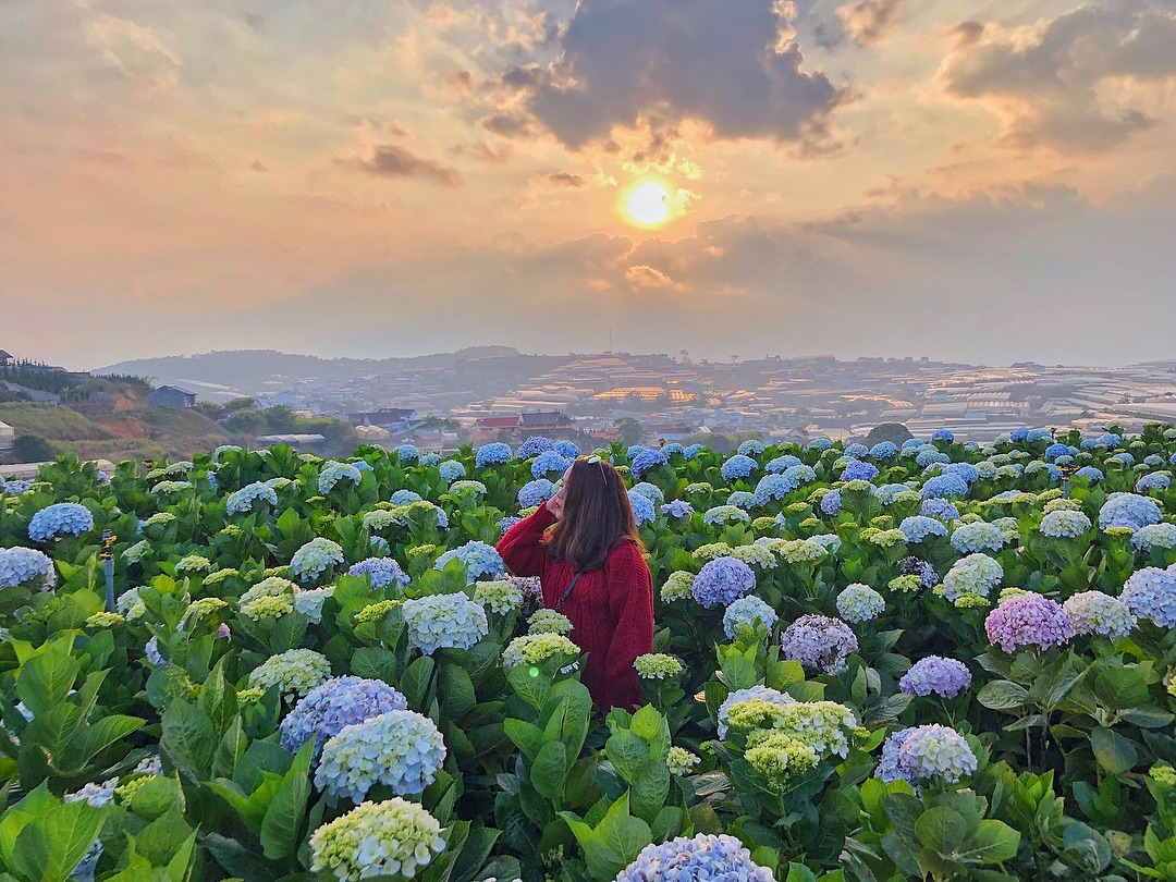 cầu vàng đà lạt