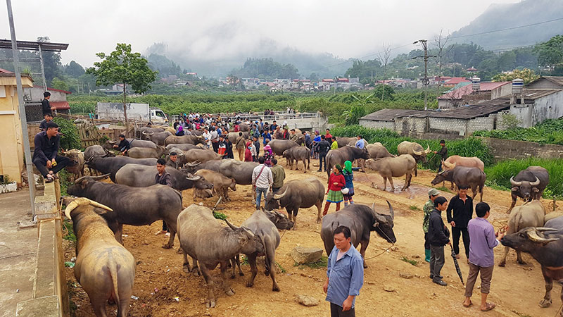 du lịch lào cai