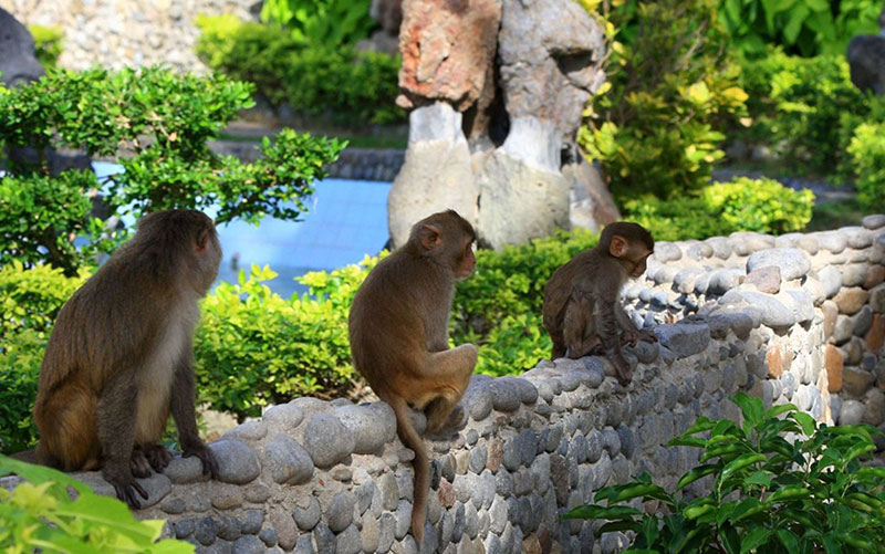 Du lịch Khánh Hòa