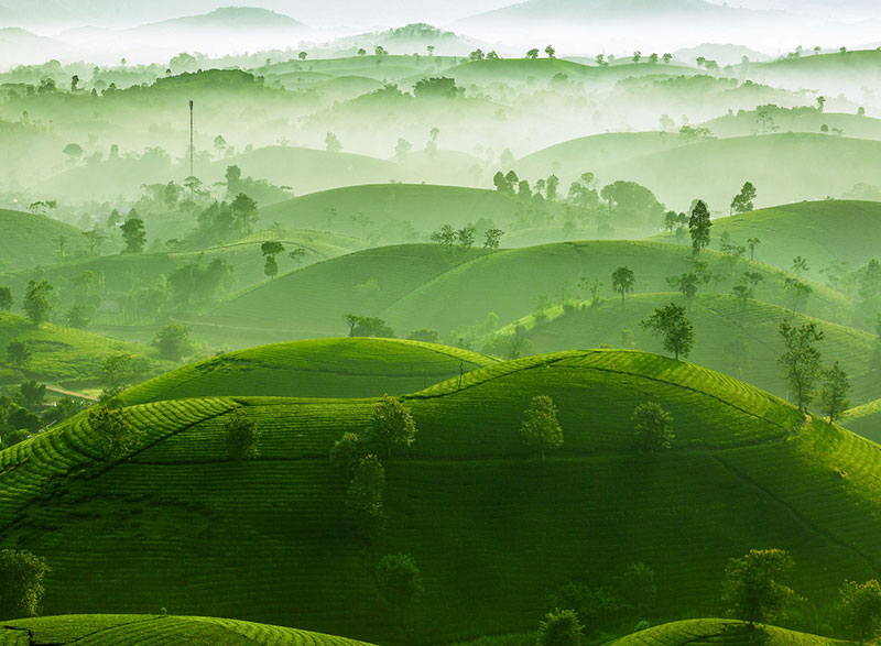 du lịch phú thọ