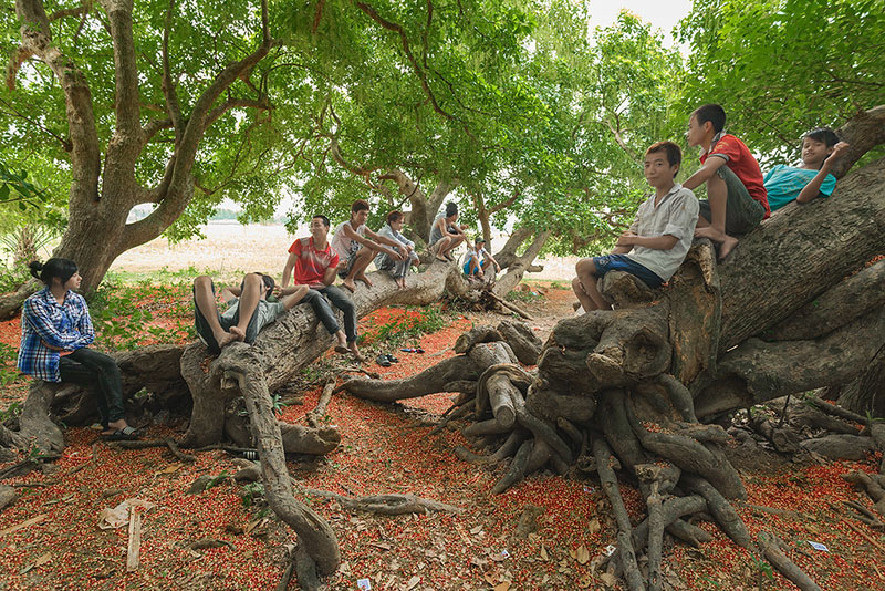 du lịch phú thọ