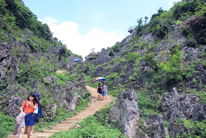 động ngườm ngao