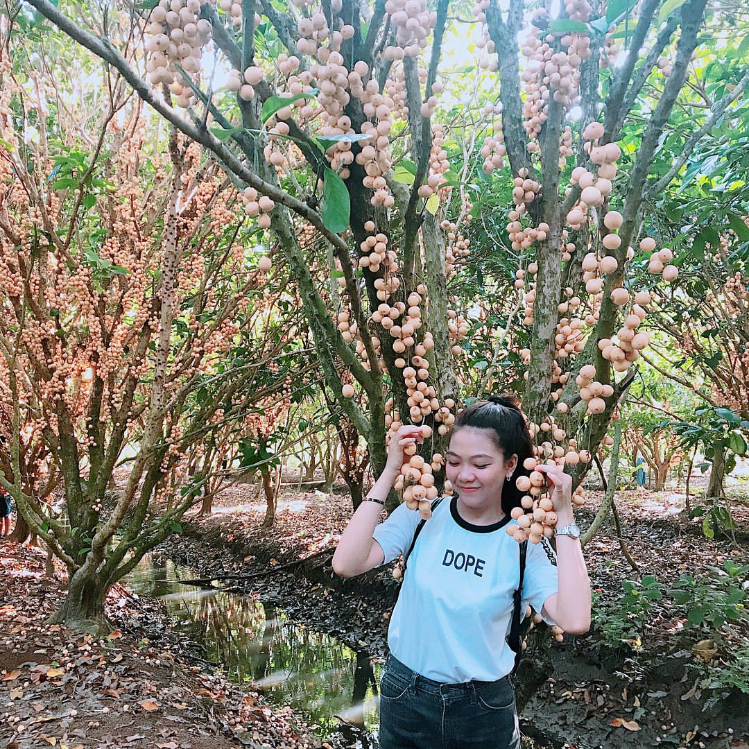 du lịch vĩnh long