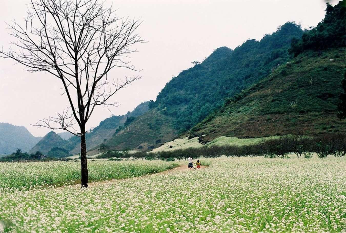 du lịch Sơn La