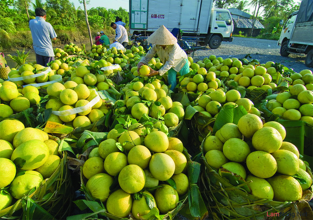 du lịch hậu giang