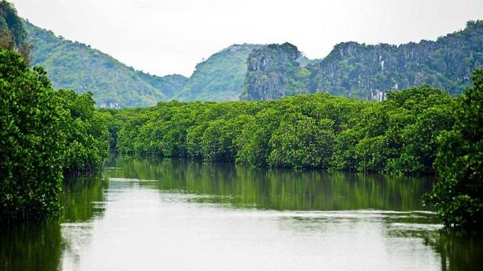 du lịch Hải Phòng