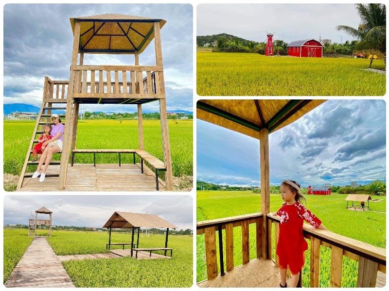 Địa điểm du lịch Ninh Thuận, Tháp Chàm Farm