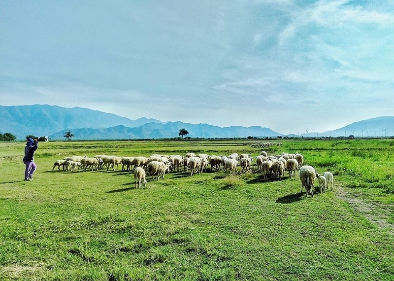 du lịch Ninh Thuận