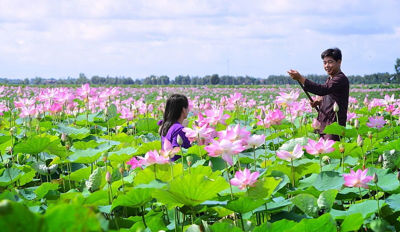 du lịch đồng tháp