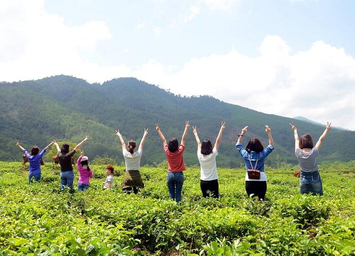 đồi chè Đông Giang 