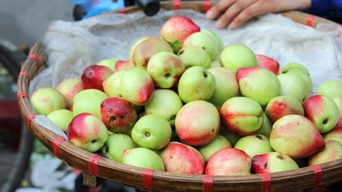 mẫu sơn lạng sơn