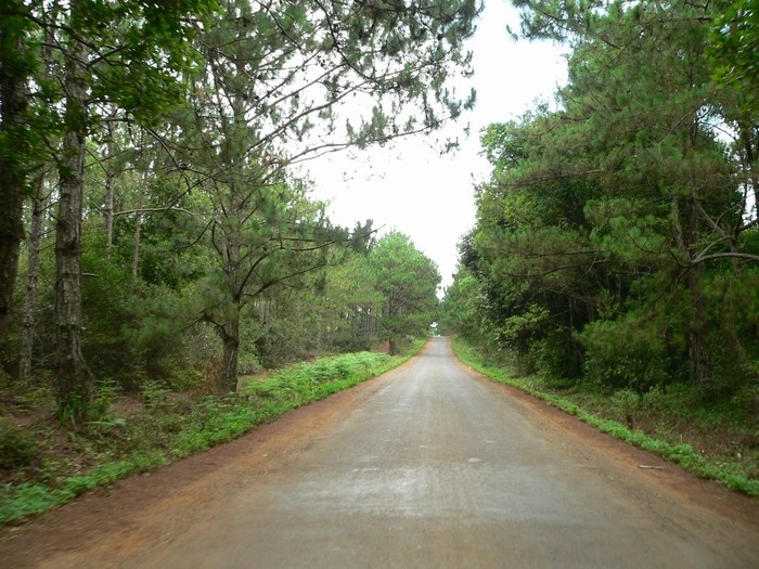 Thác Pa Sỹ 