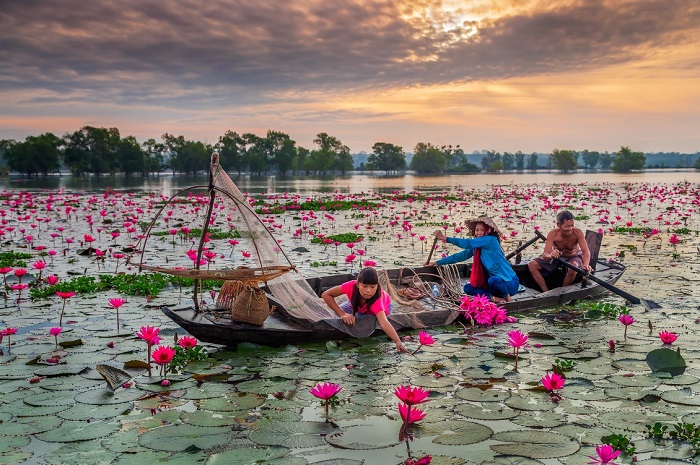 hồ dầu tiếng