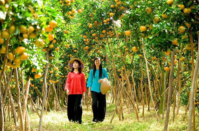 du lịch vĩnh long