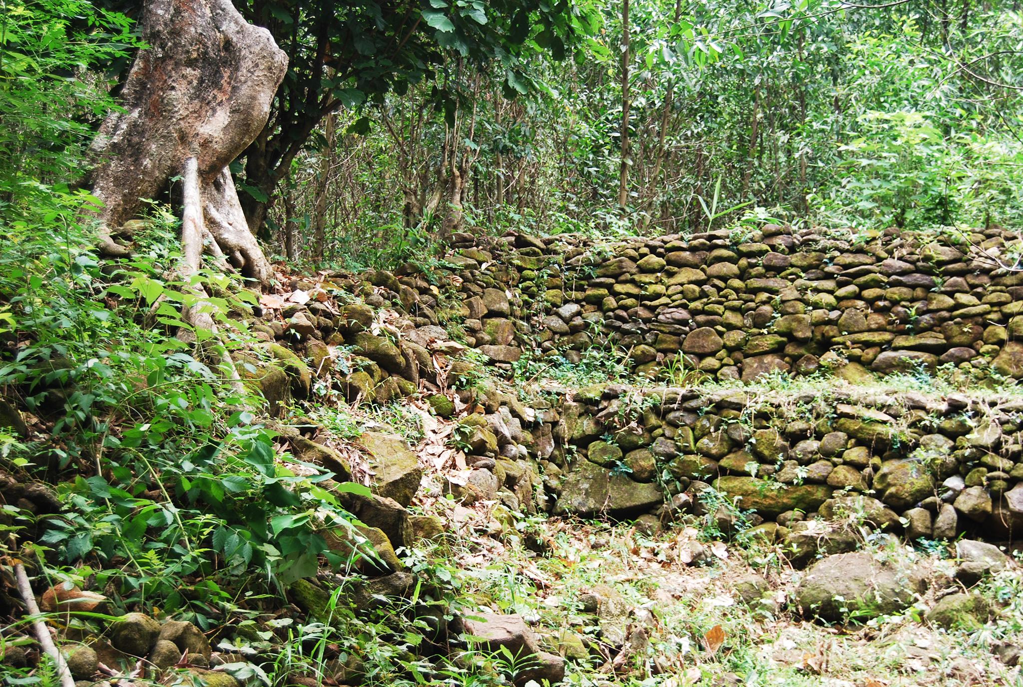 du lịch quảng ngãi