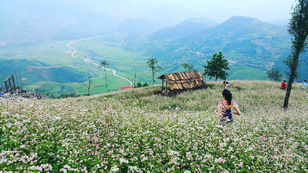 du lịch Hà Giang