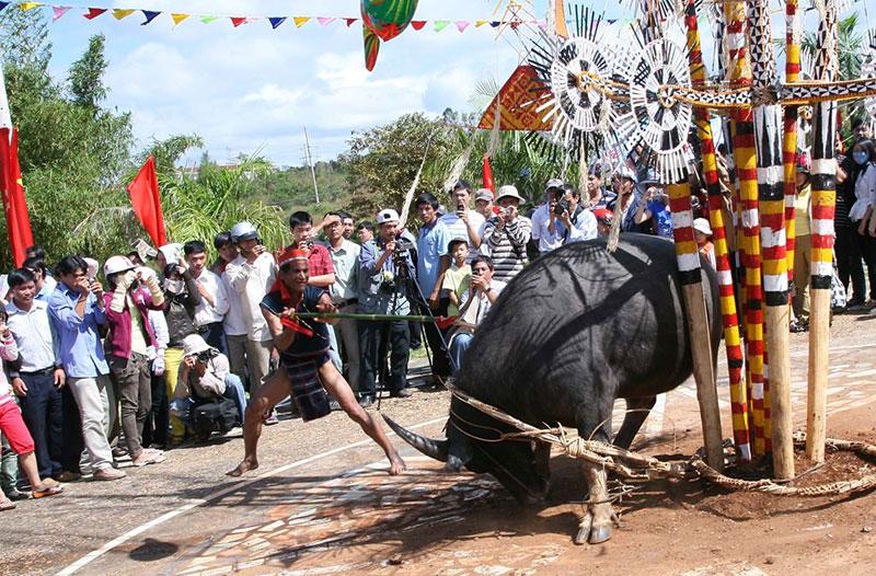 du lịch phú yên