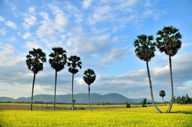 du lịch An Giang