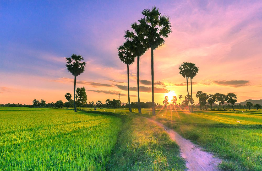 du lịch An Giang