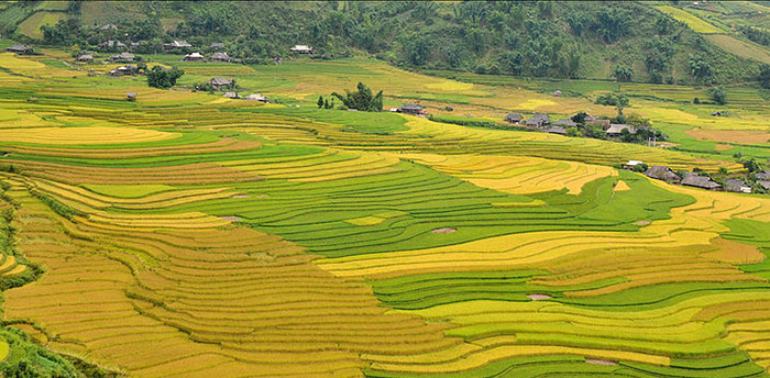 du lịch yên bái