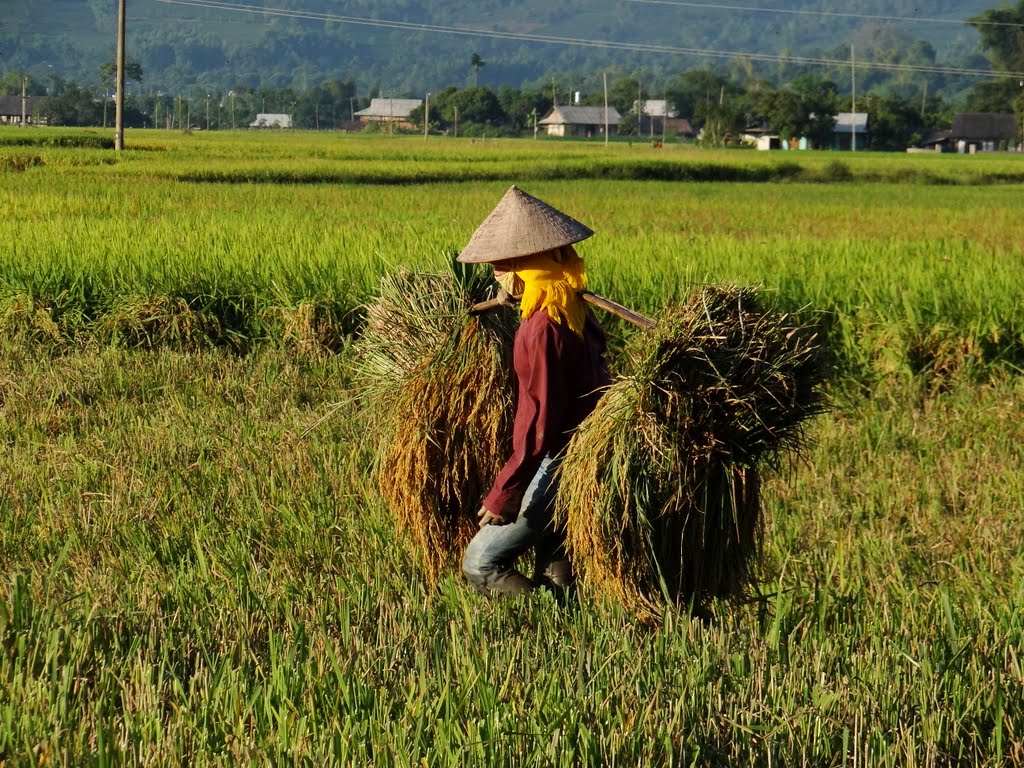 du lịch yên bái