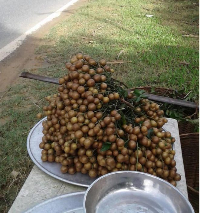 Nếu đi qua Kỳ Sơn vào đúng vụ thu hoạch, bạn sẽ có cơ hội thưởng thức đặc sản quất đỏ nơi đây