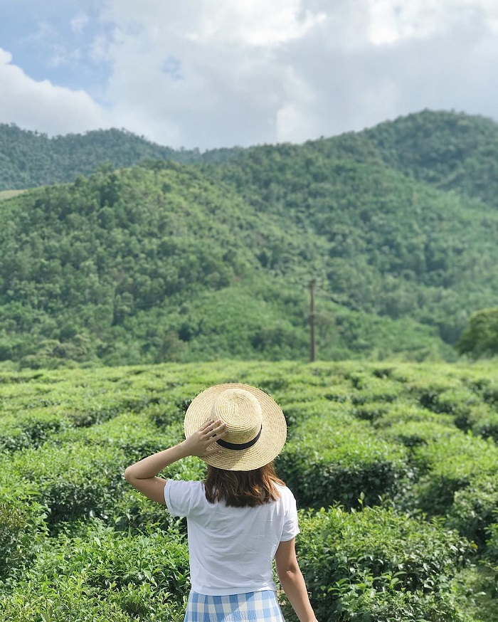 đồi chè đông giang